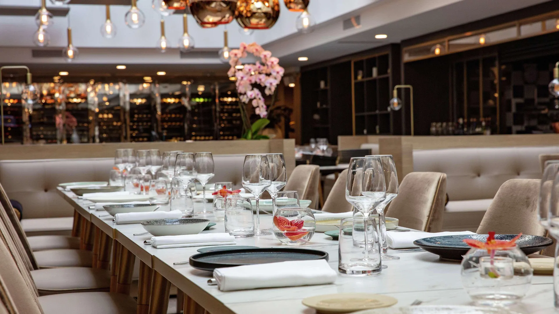 Niepce Paris, Curio Collection By Hilton Hotel